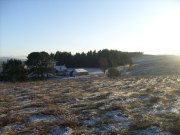 Outbuildings in Winter